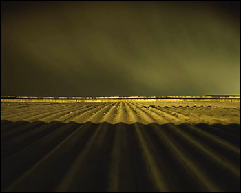 Sparky Campanella Photography
