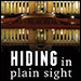 Hiding in Plain Sight by Brian Brady