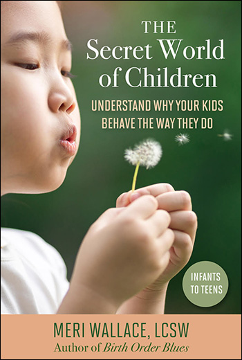The Secret World of Children by Meri Wallace