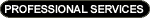 Professional Services
