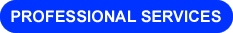 Professional Services