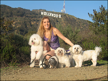 Verona Bravo Pet Grooming