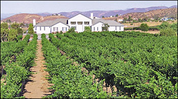 Wine Country